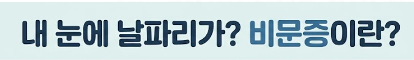 비문증 치료방법