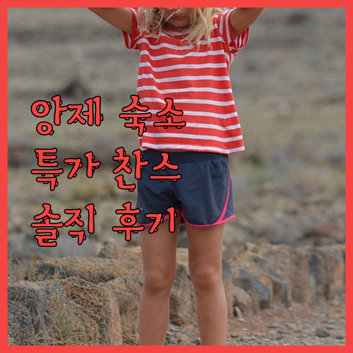 앙제 숙소 특가 찬스 놓치면 후회 O