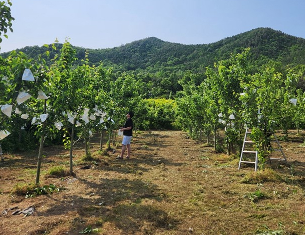 전남 강진 그린시스 농장
