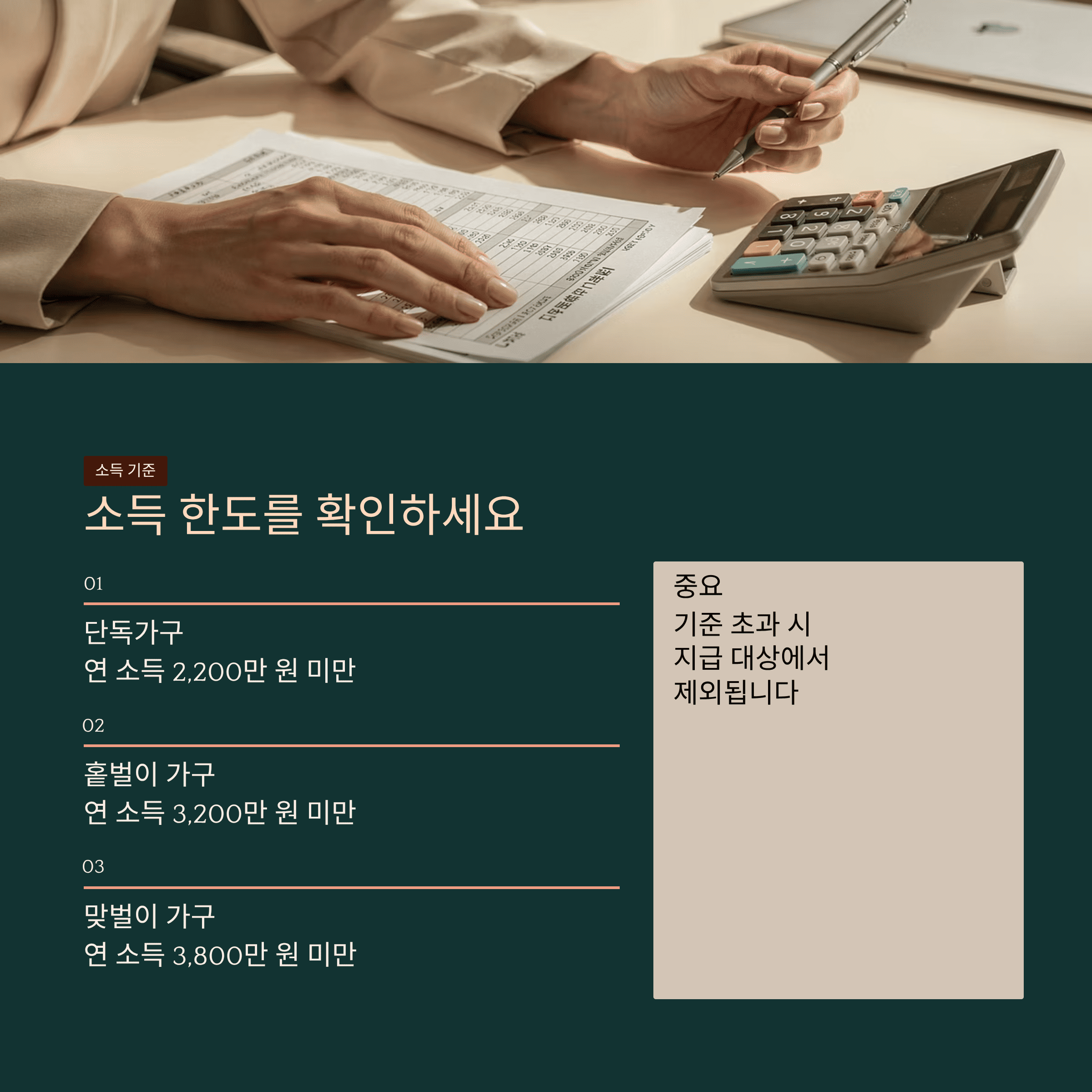 소득 한도를 확인하세요