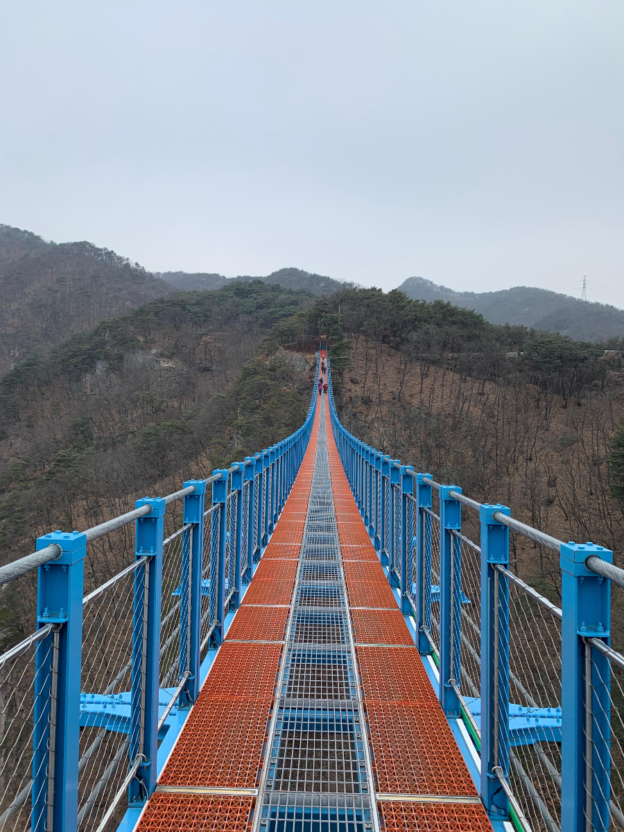 추운 겨울 정선 2박3일 여행 가볼만한 곳 05 - 정선아리랑시장, 회동집, 원주 소금산 출렁다리