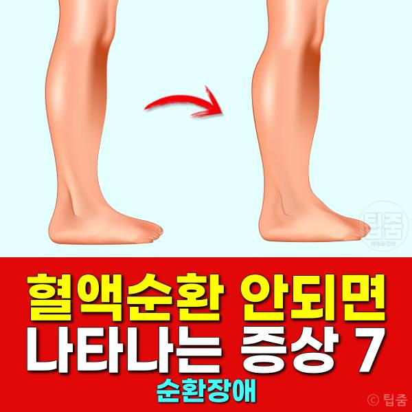 몸 혈액순환 안되면 나타나는 증상