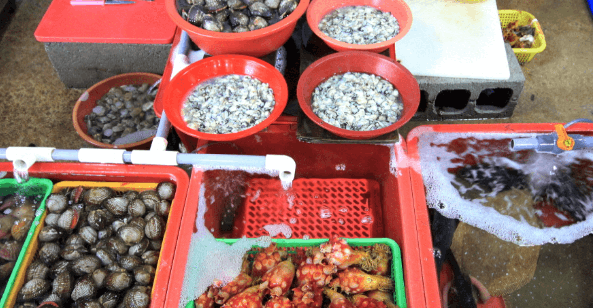 남당리 새조개 축제