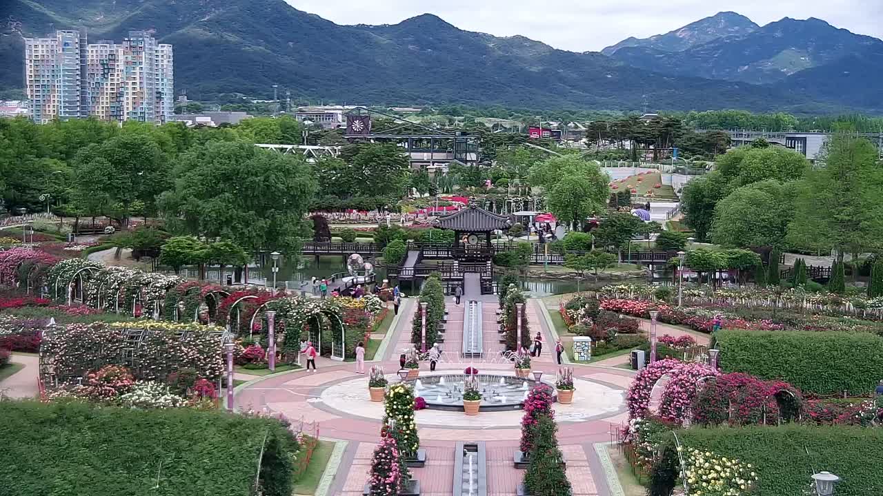 곡성 세계 장미 축제