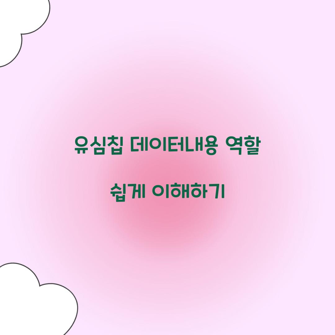 유심칩 데이터내용 역할