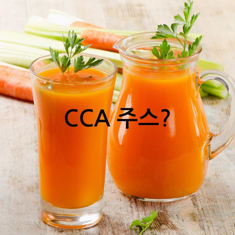 CCA주스 효능과 만드는 법