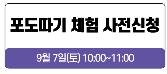 2024년 화성 송산 포도축제 일정