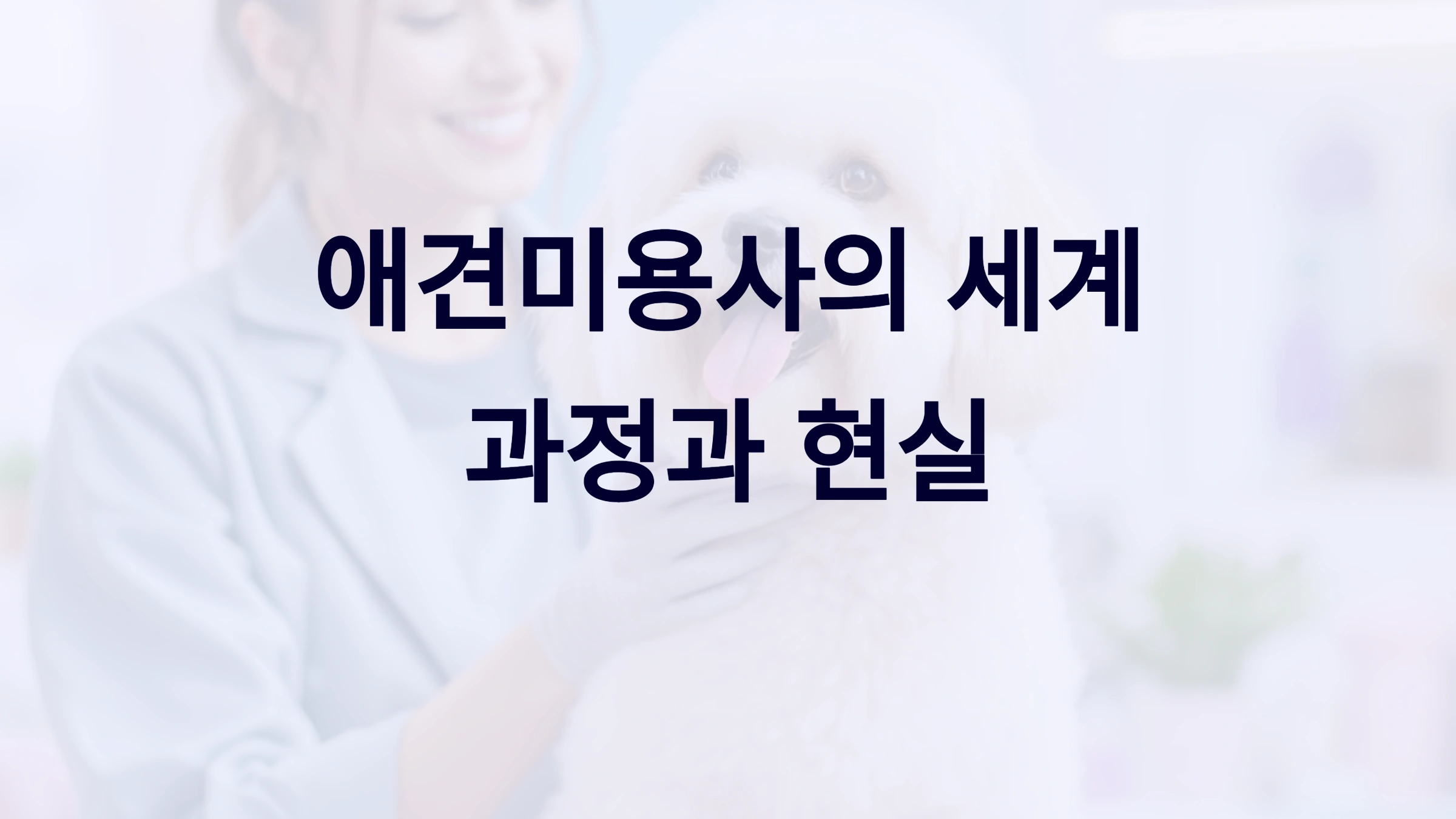 애견미용사가 되려면 과정 및 현실 분석
