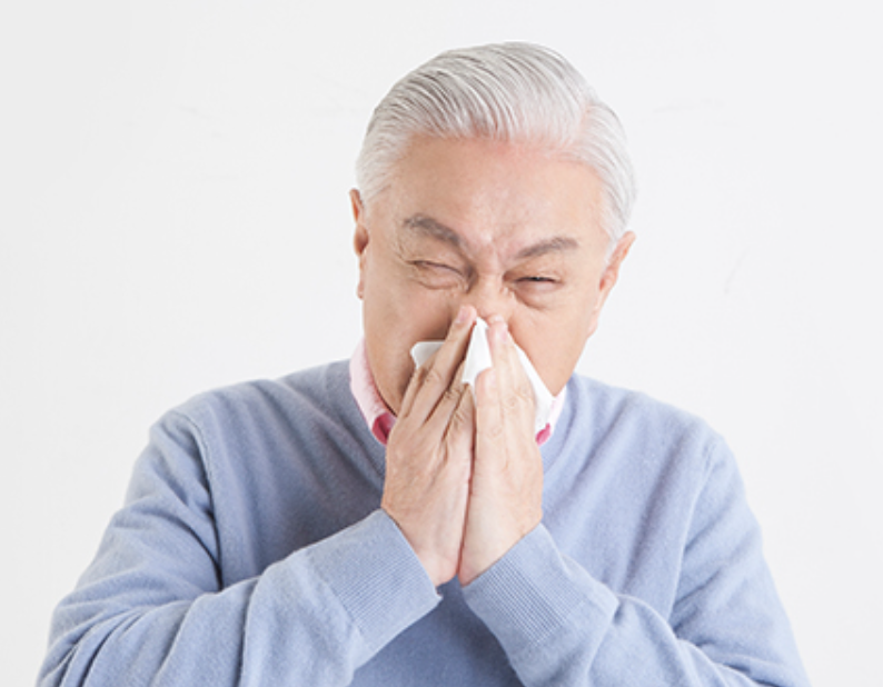 비중격 만곡의 원인