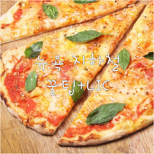 뉴욕 여행 경비 아끼는 지하철 이용 ..