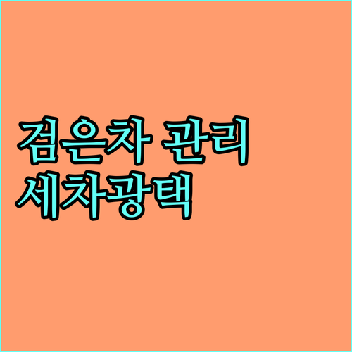 검은차 완벽 관리법: 세차부터 광택까