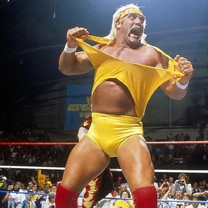 헐크 호건 사망