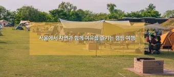 서울 캠핑 초보 캠핑장 추천_11