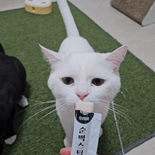 홀린듯 맛있게 먹는 순살 백프로로 만든 호랑이 순백스틱