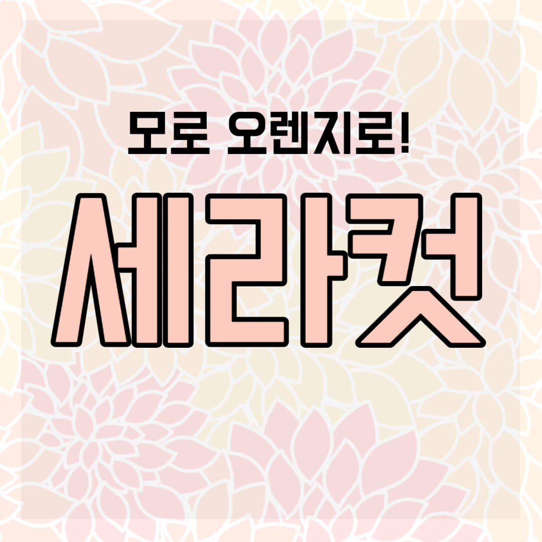 세라컷 썸네일