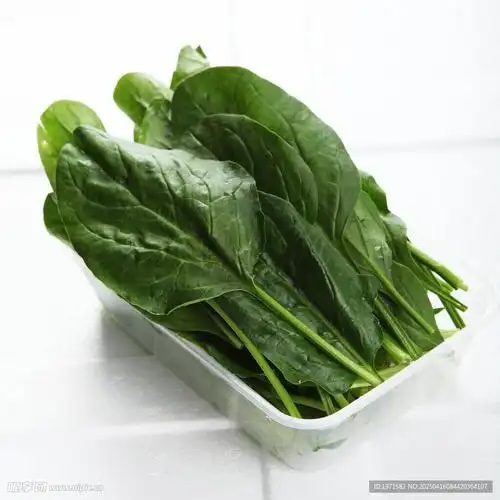 시금치 효능 및 부작용