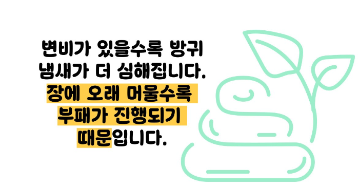 방귀 냄새가 심한 이유
