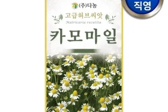 카모마일 재배 직파 심기 연속 개화 수확 건조_3