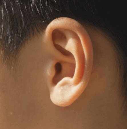 남성-옆모습-귀사진