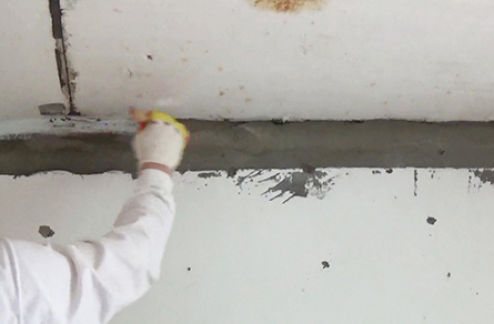 코헬건축기술 곰팡이제거