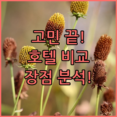 래디슨 블루 마리나 호텔, Novot