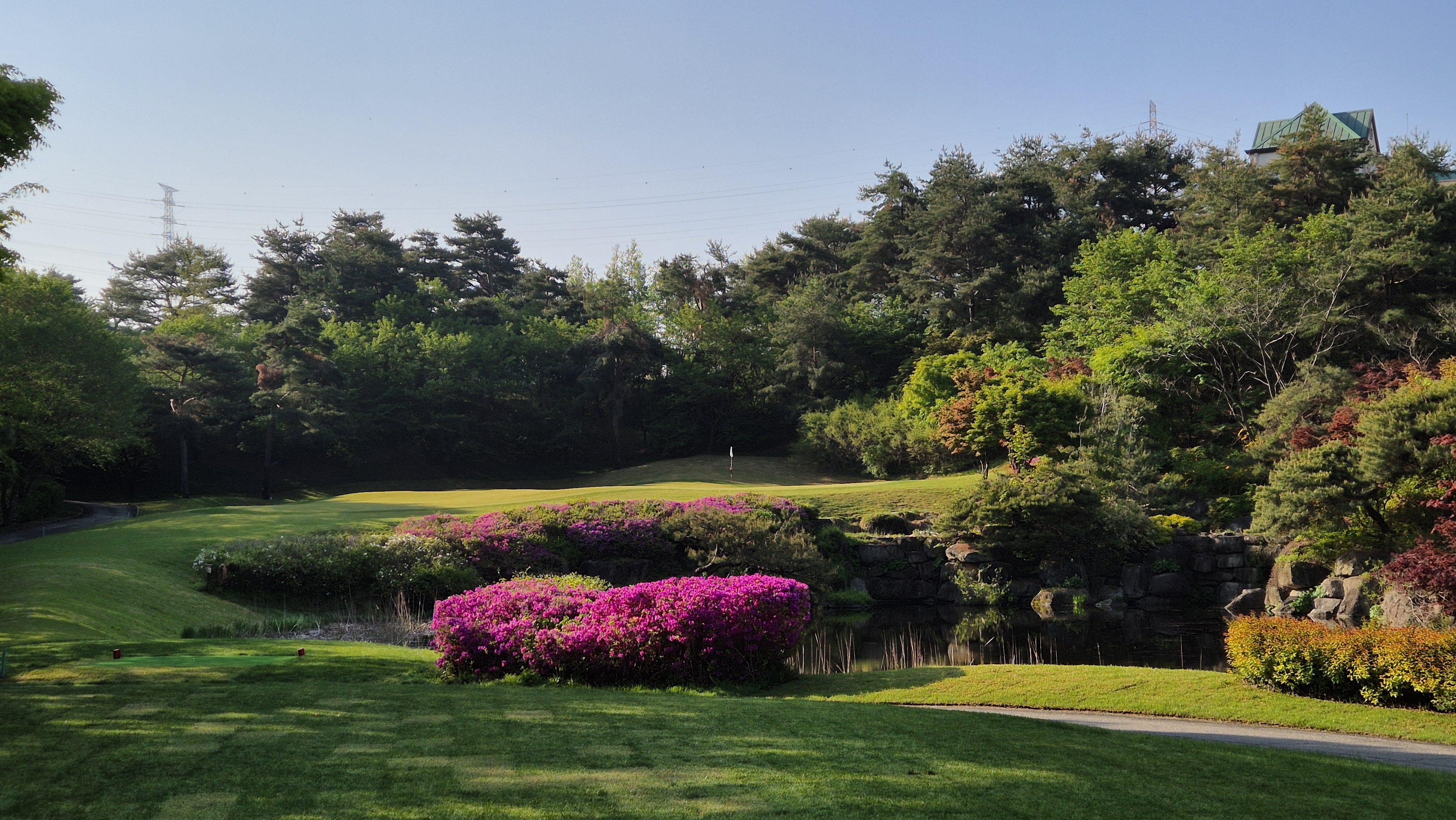 마에스트로cc 코스