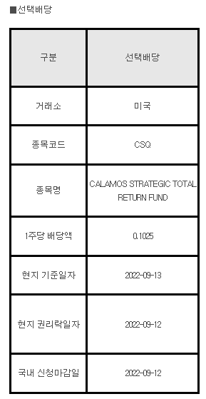 미국주식 선택배당 안내 CSQ