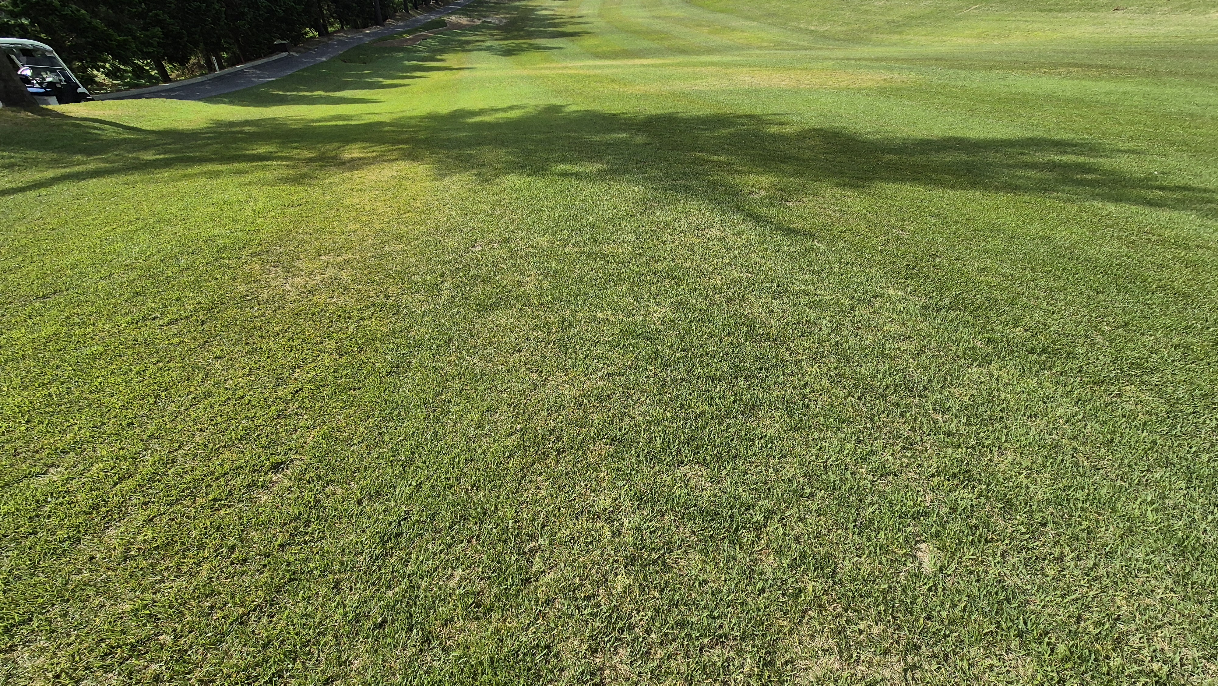 한원cc 라운드후기