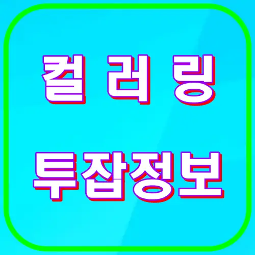 컬러링 투잡 정보
