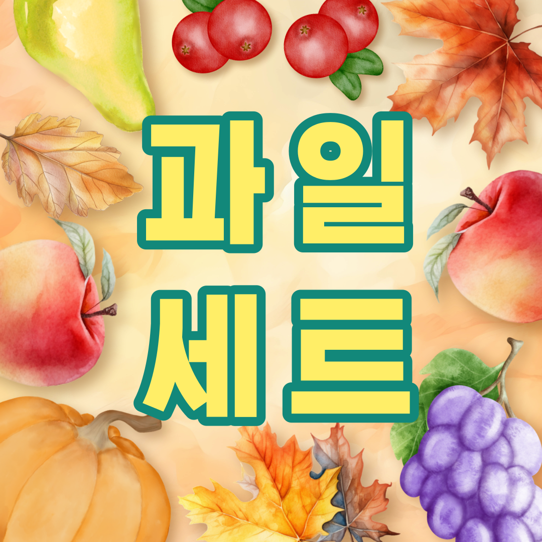 설 명절 선물 베스트 5