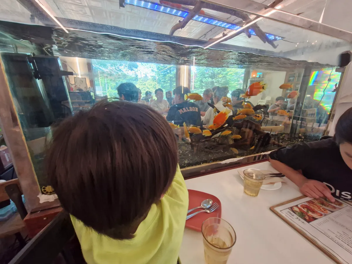 어항에-물고기를-바라보는-아이