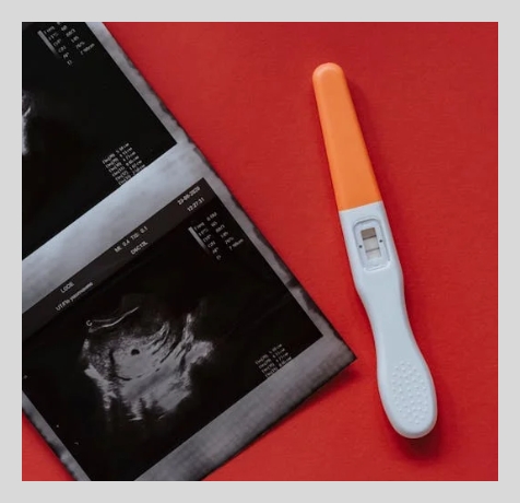 임신기 근로시간 단축제도