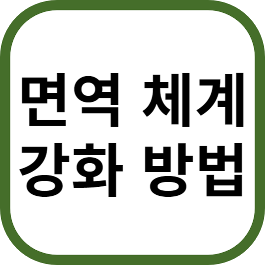 면역 체계 강화 방법