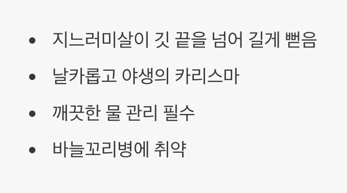 크라운 베타 - 야생의 카리스마, 작은 왕관