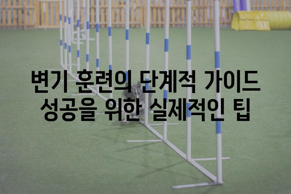 변기 훈련의 단계적 가이드 성공을 위한 실제적인 팁