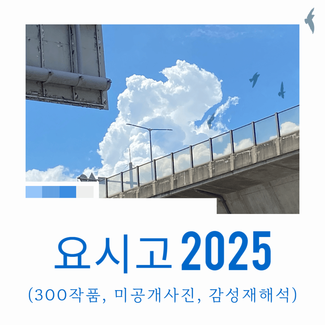 요시고 2025 (300작품, 미공개사진, 감성재해석)