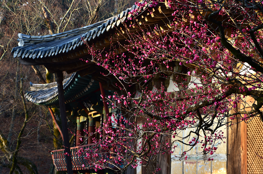 양산통도사