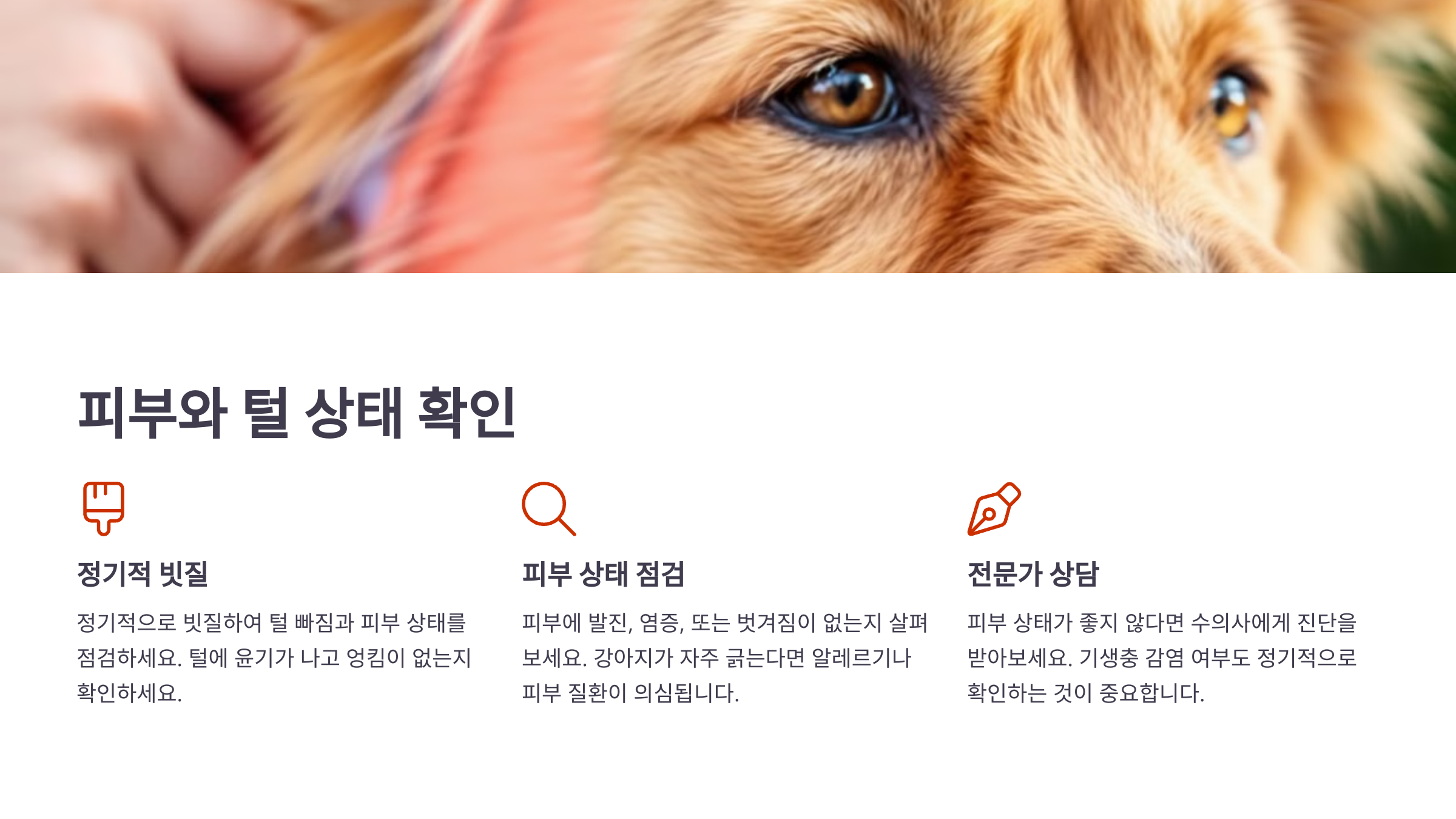 피부와 털 상태 확인