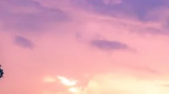 고객번호 조회방법