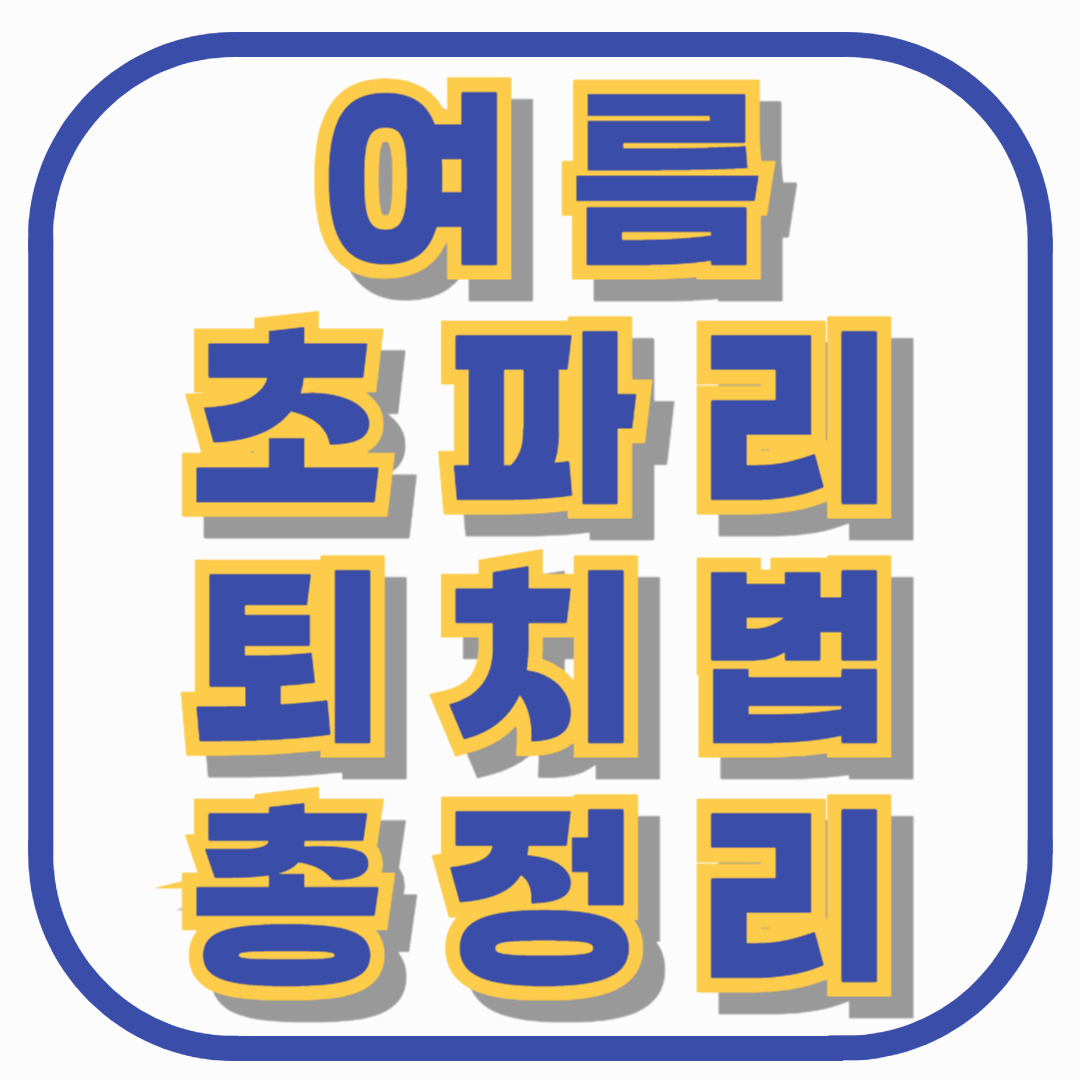 여름 초파리 퇴치법 총정리 – 집안 초파리 없애는 가장 효과적인 방법