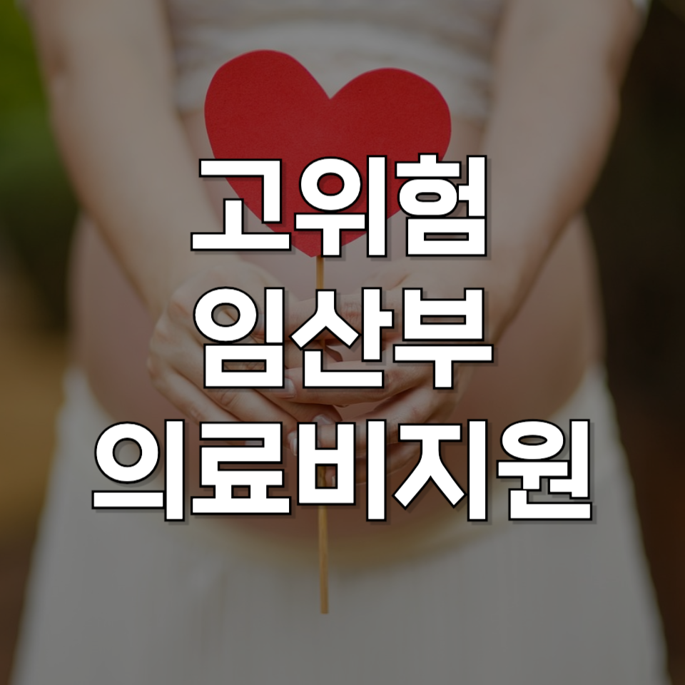 출산 전 필수 체크! 고위험 임산부 의료비 신청 바로 확인하기