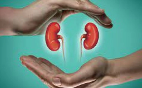 신장에 좋은 음식 14가지