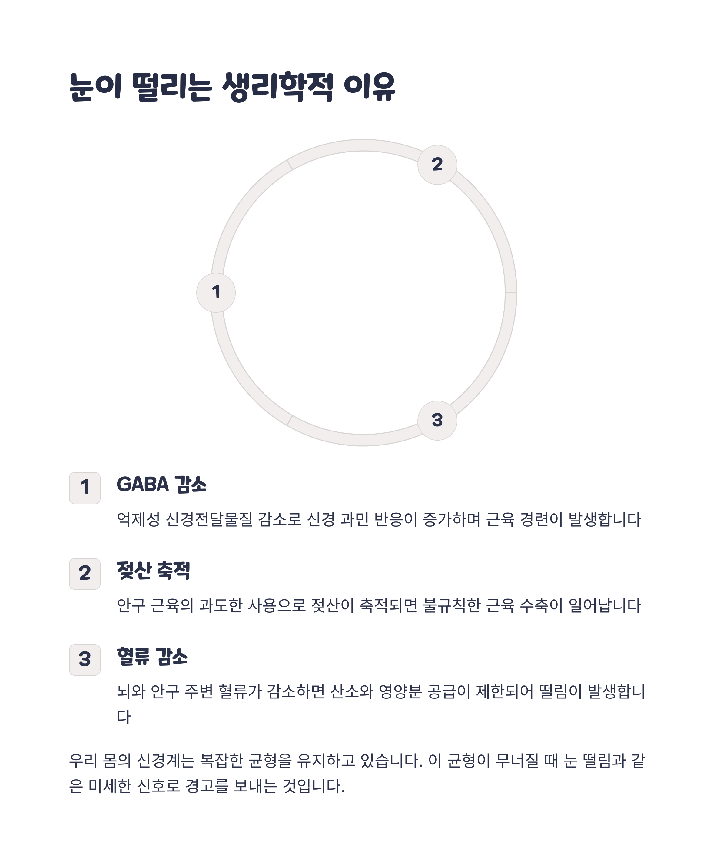 눈 떨림의 생리학적 원인을 설명하는 인포그래픽 – GABA 감소, 젖산 축적, 혈류 저하로 인한 근육 경련 메커니즘