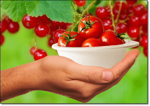 바이오플라보노이드식품