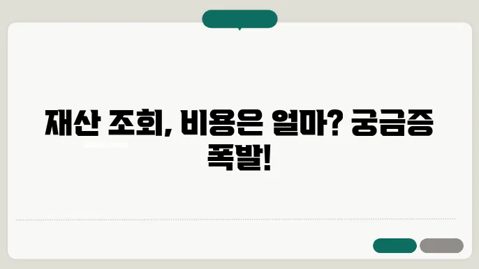 재산 조회 신쳀 비용