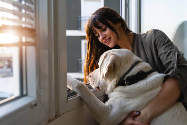 노령견 관리&amp;#44; 꼭 알아야 할 생활 습관과 건강 체크 포인트