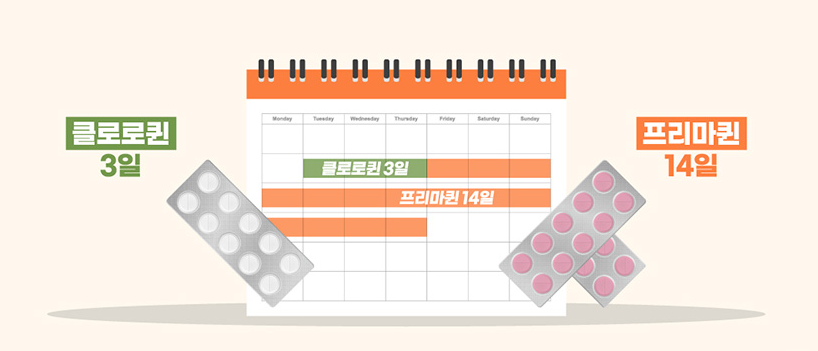 말라리아예방약