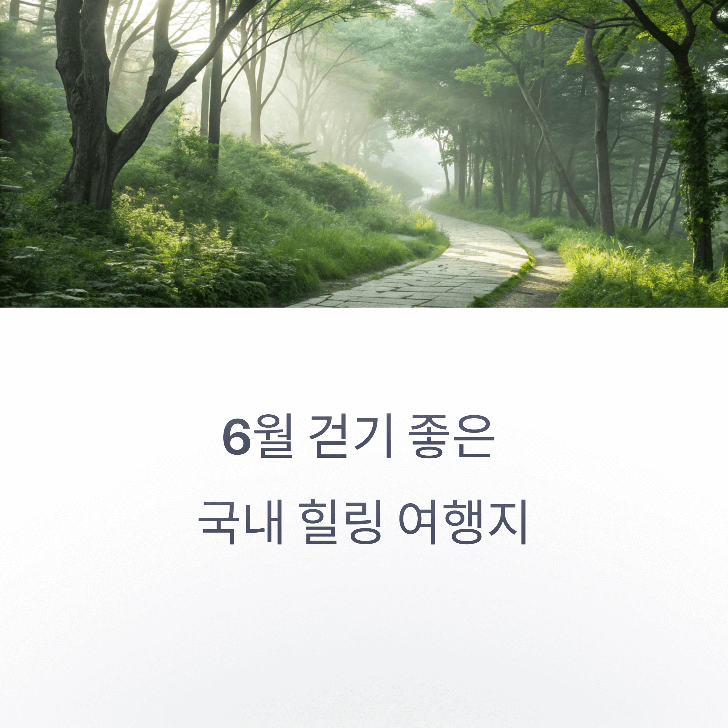 초록빛 숲길 위로 햇살이 비치는 평화로운 산책로