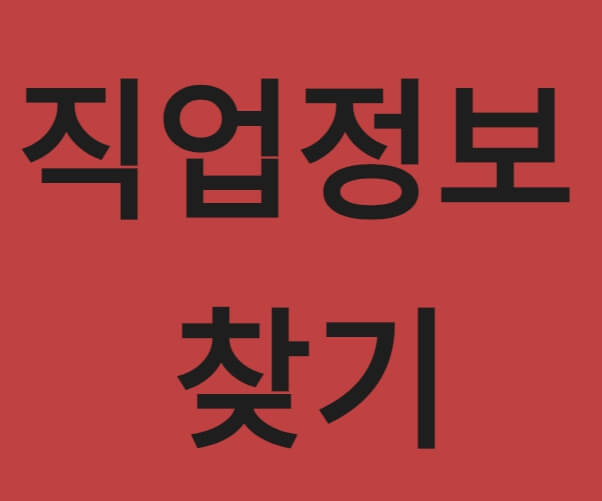 직업정보 찾기