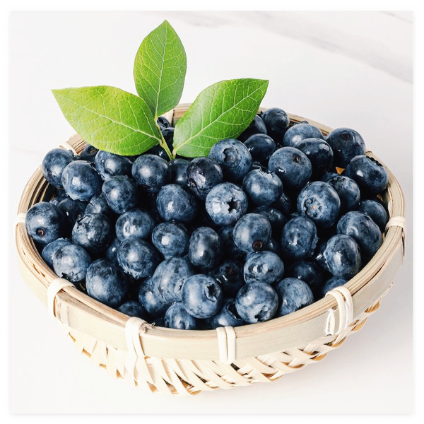 블루베리-효능-효소